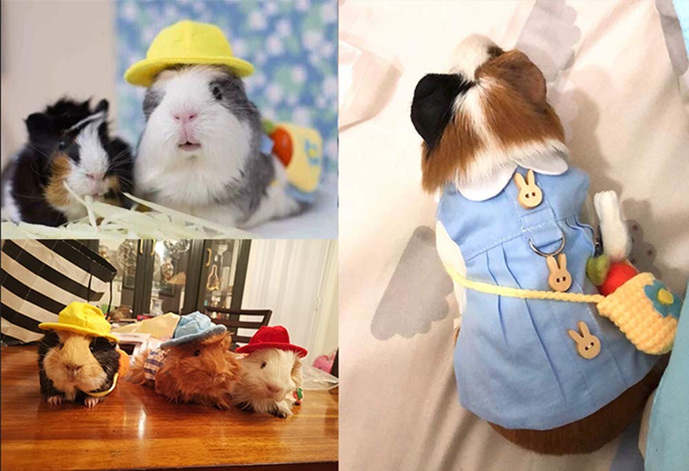 フェレットの洋服セット Amazon | フェレット服セット 小動物ハーネスとリーシュ 調節可能な胸